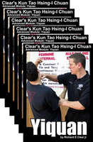 Yiquan Intensive DVDs